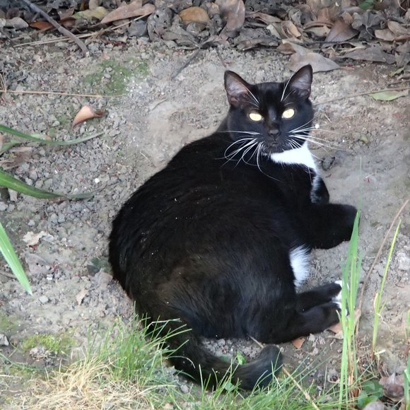 Share My Items And I Will Share Yours - Picture 5 of 7